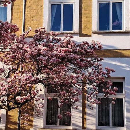 Ferienwohnung Rosi Naumburg  Ngoại thất bức ảnh