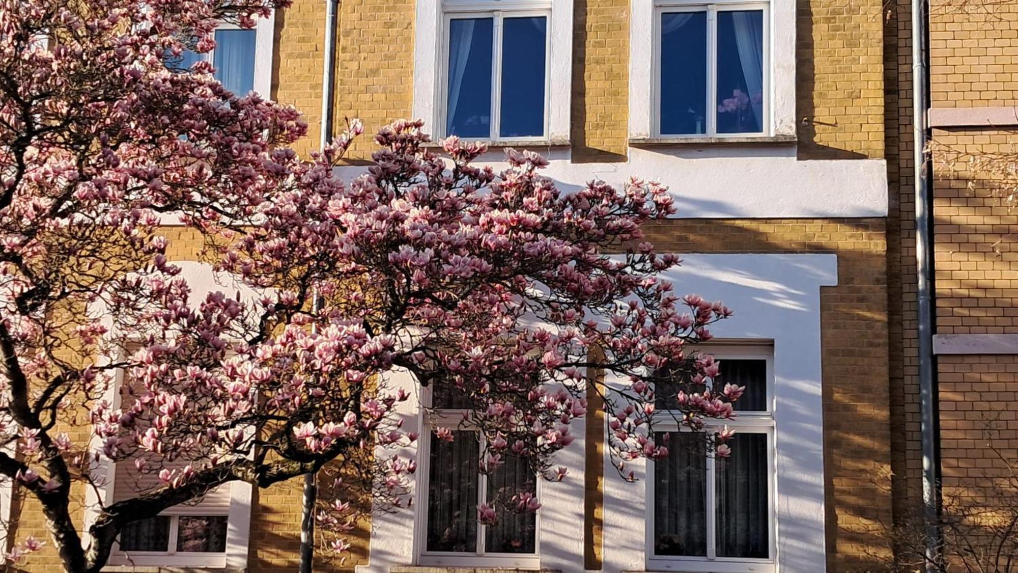 Ferienwohnung Rosi Naumburg  Ngoại thất bức ảnh